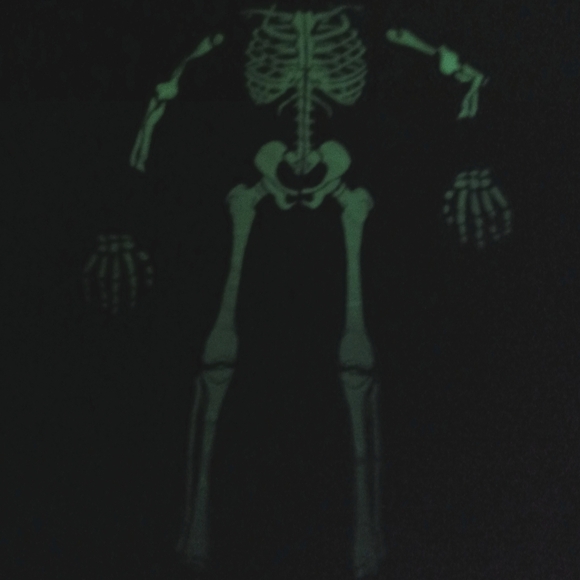 COOL SKELTON HALLOWEEN COSTUME WOMEN SMALL - Picture 7 of 8